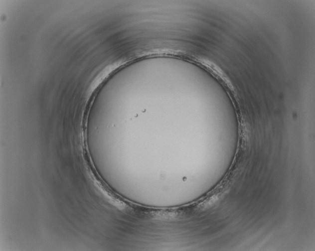 X0000077400890200611101817