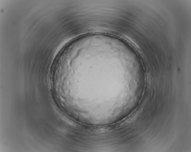 X0000077400891200611101817