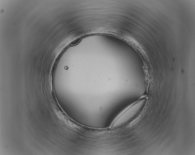 X0000077400892200611101817