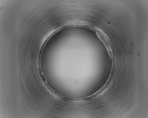 X0000077400893200611101817