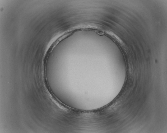 X0000077400894200611101817