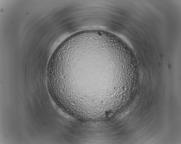 X0000077400895200611101817