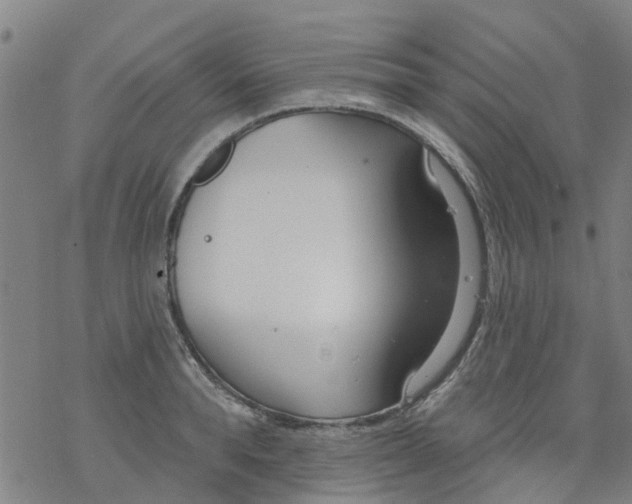 X0000077400896200611101817