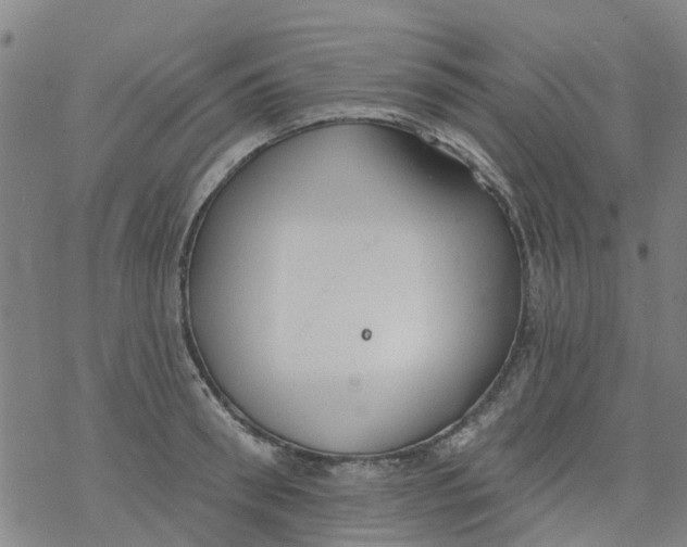 X0000077400898200611101817