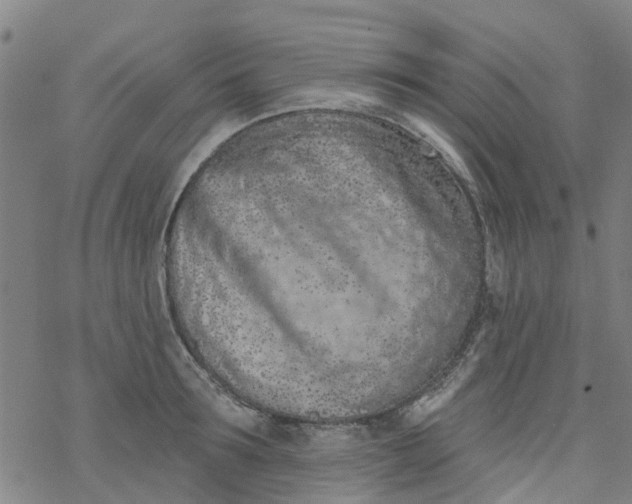 X0000077400899200611101817