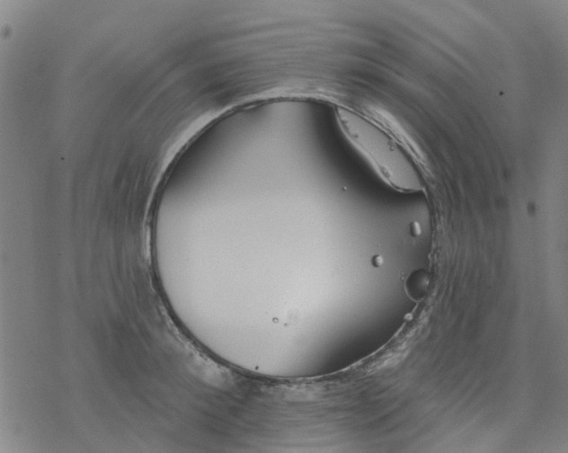 X0000077400900200611101817