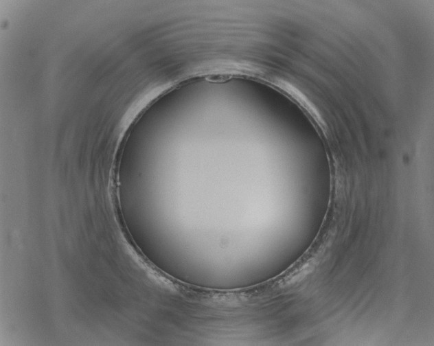 X0000077400901200611101817