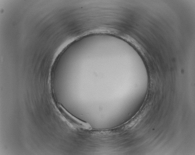 X0000077400902200611101817