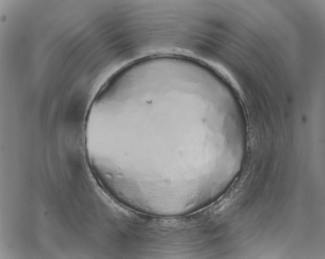 X0000077400903200611101817