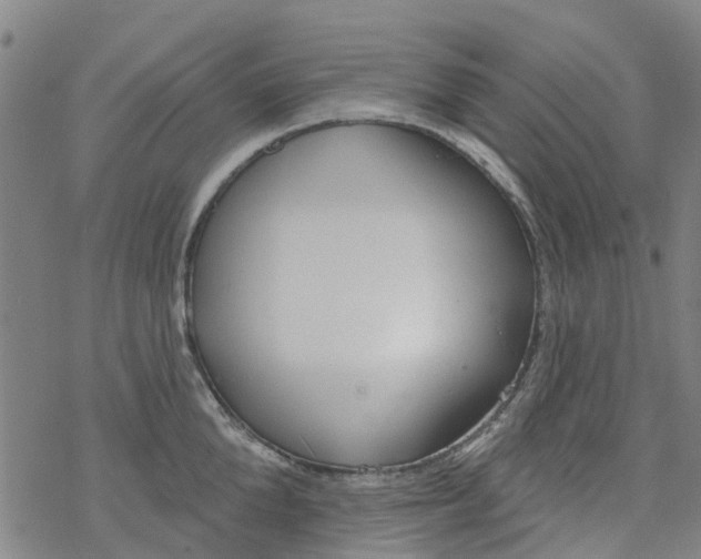 X0000077400904200611101817