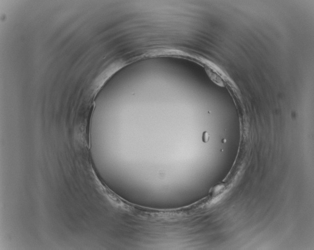 X0000077400905200611101817