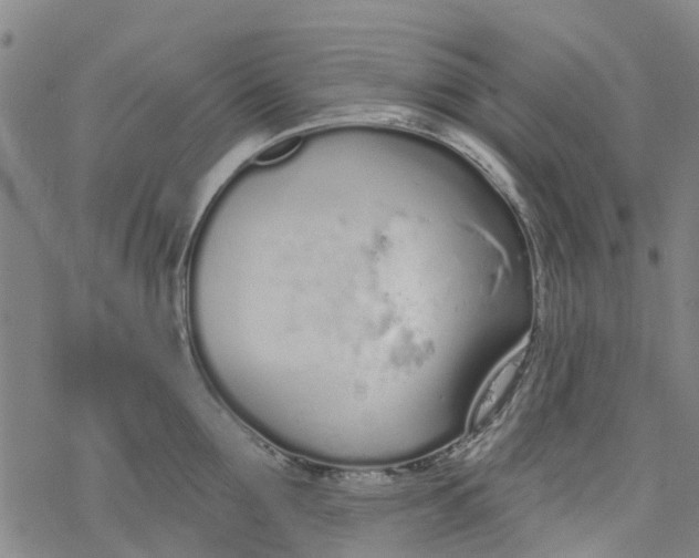 X0000077400907200611101817