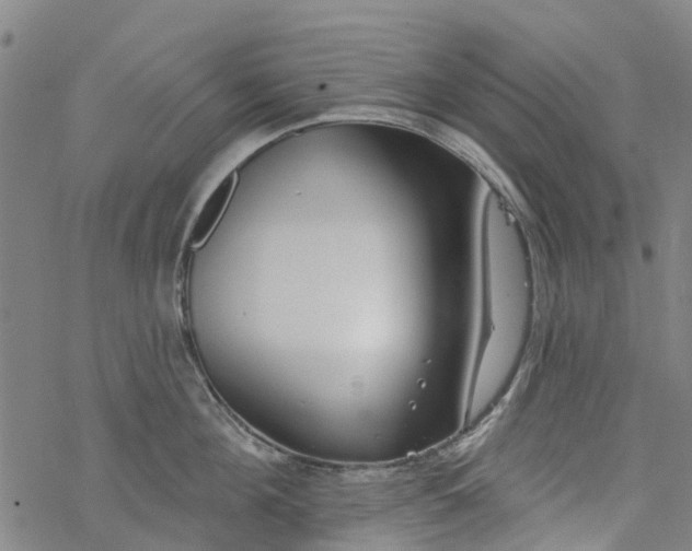 X0000077400908200611101817