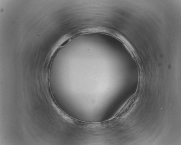 X0000077400909200611101817