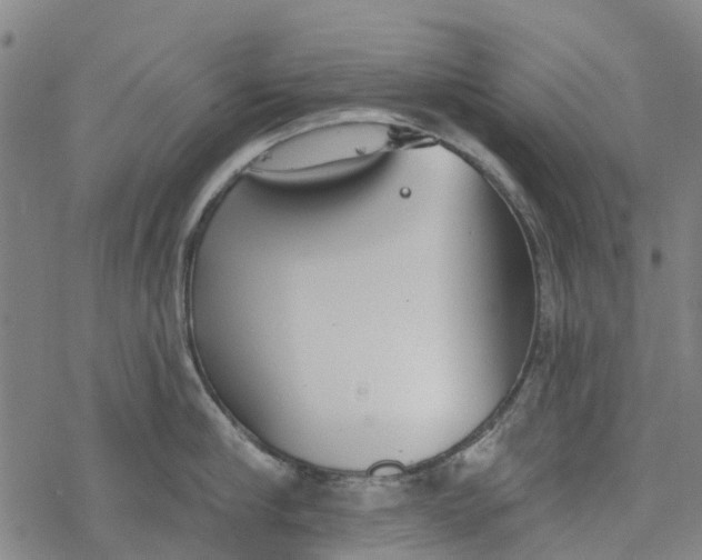 X0000077400910200611101817