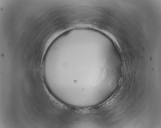 X0000077400911200611101817