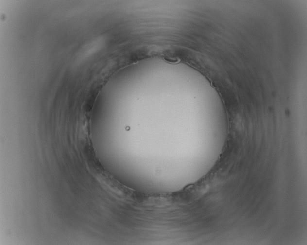 X0000077400914200611101816