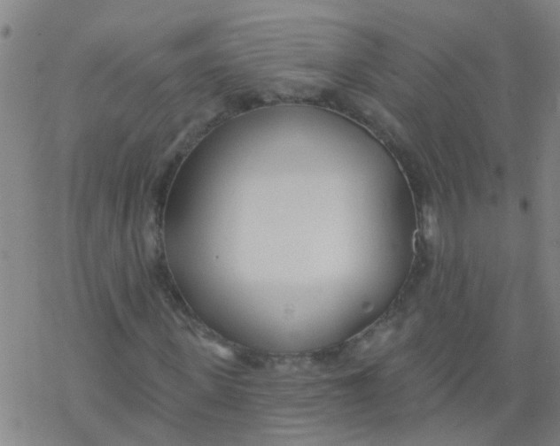 X0000077400915200611101816