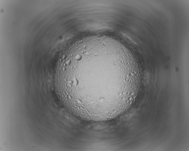 X0000077400917200611101816