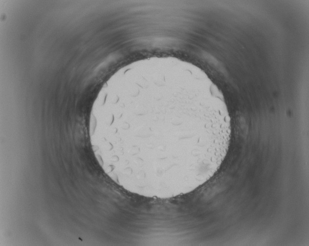 X0000077400918200611101816