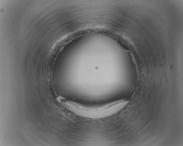 X0000077400920200611101816