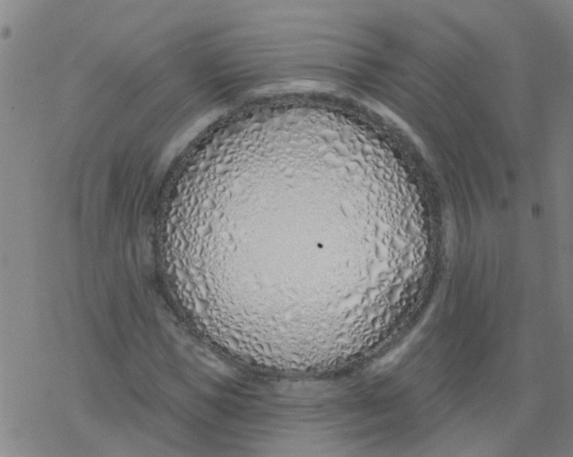 X0000077400921200611101816