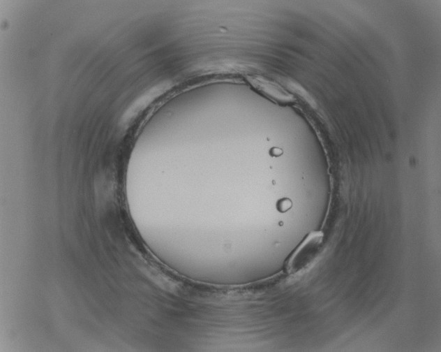 X0000077400922200611101816