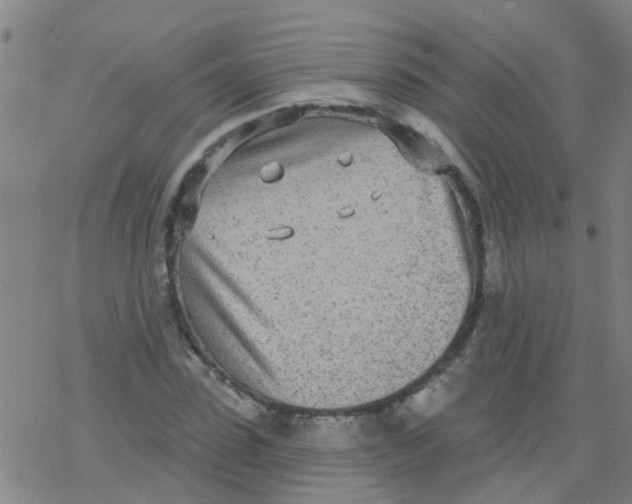 X0000077400923200611101816