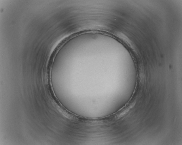 X0000077400924200611101816