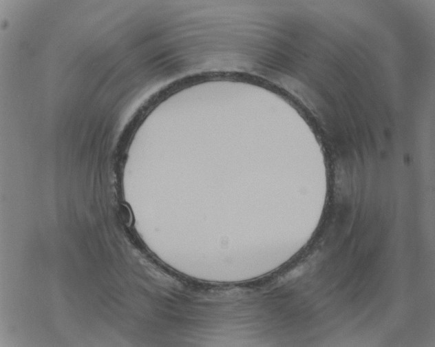 X0000077400926200611101816