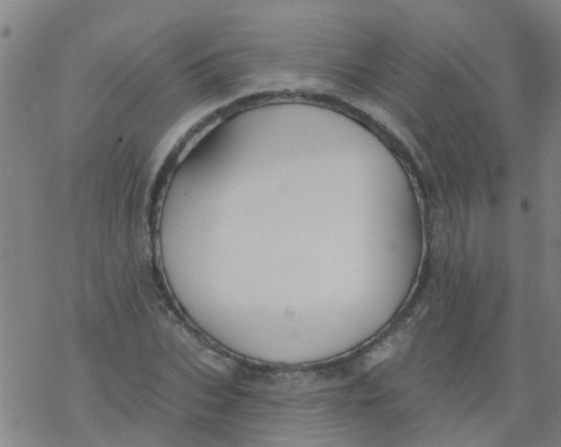 X0000077400927200611101816