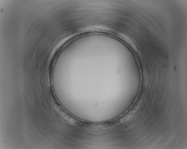 X0000077400931200611101816