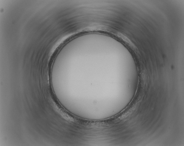 X0000077400934200611101816