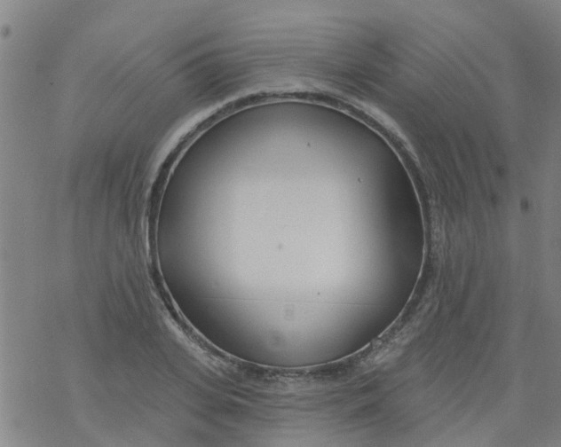 X0000077400935200611101816