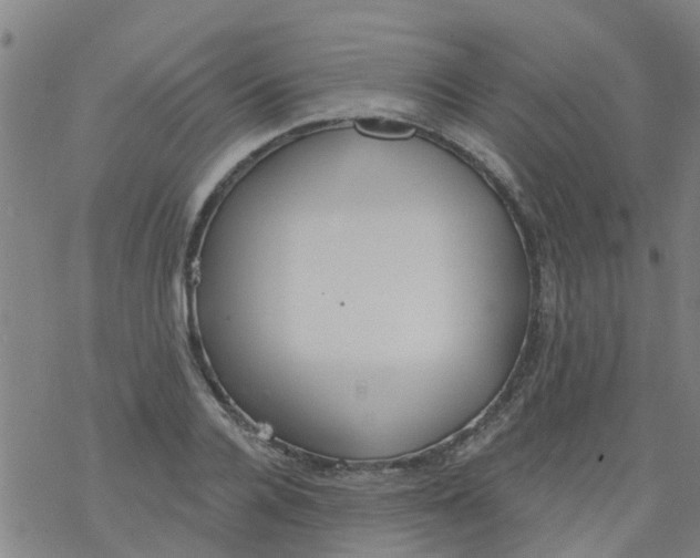 X0000077400936200611101816