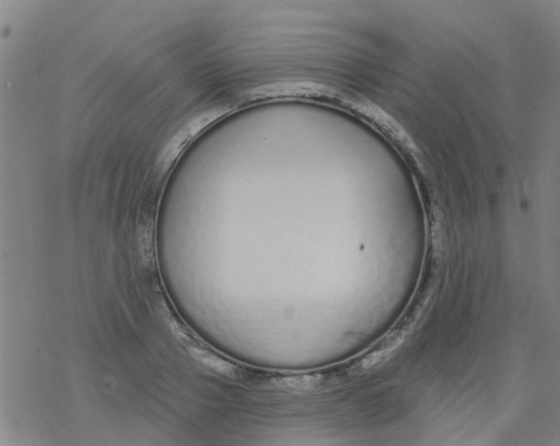 X0000077400937200611101816