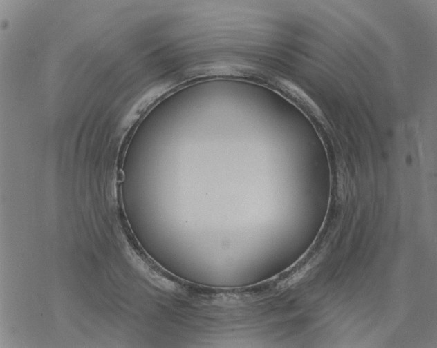 X0000077400938200611101816