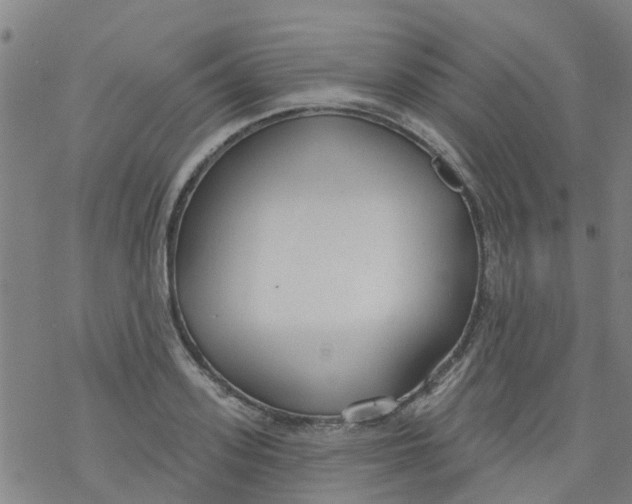 X0000077400939200611101816