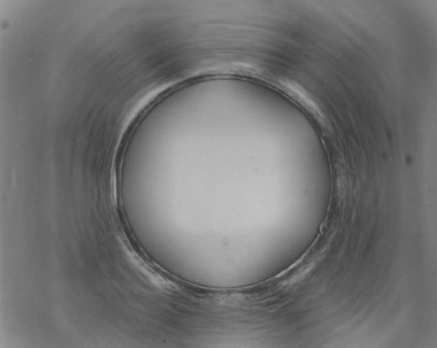 X0000077400940200611101816