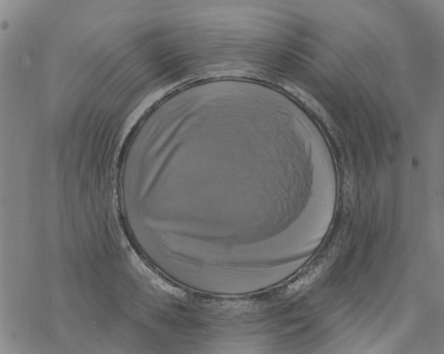 X0000077400941200611101816