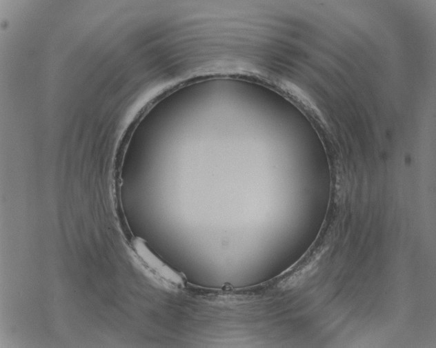 X0000077400942200611101816