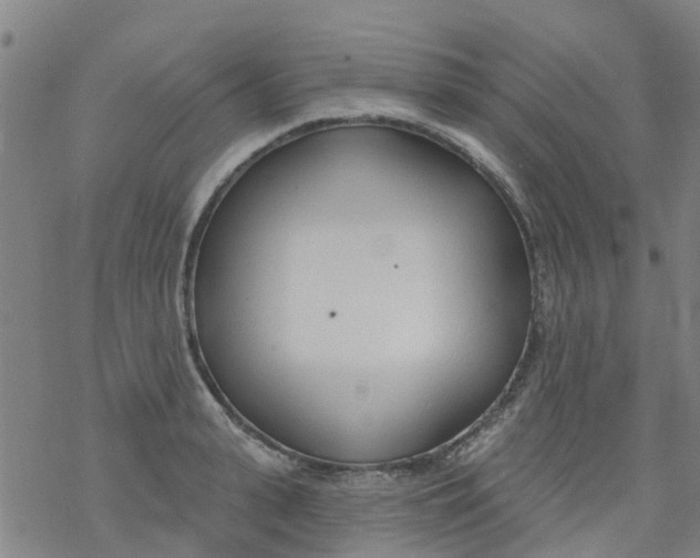 X0000077400943200611101816