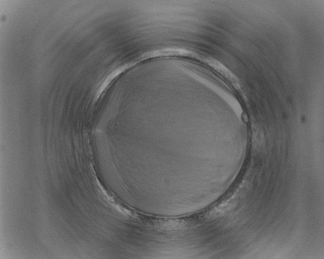 X0000077400945200611101816