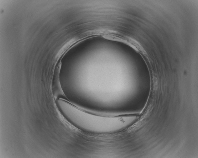 X0000077400946200611101817