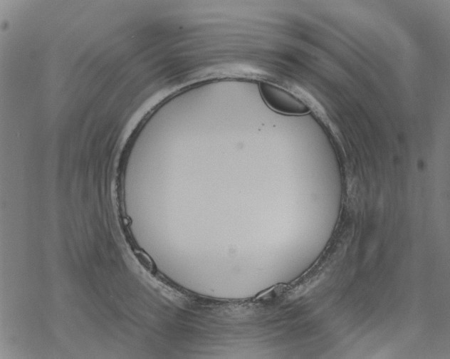 X0000077400947200611101817