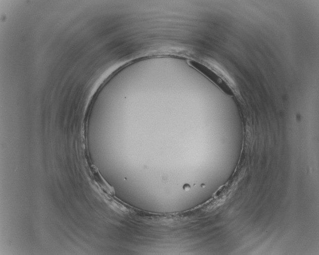 X0000077400948200611101817