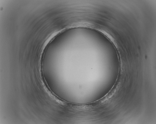 X0000077400949200611101817