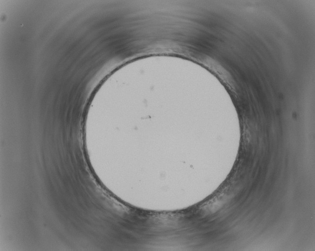 X0000077400950200611101817