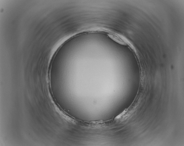 X0000077400951200611101817