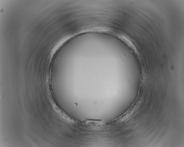 X0000077400952200611101817